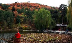 假期过后去哪玩 盘点全国八大“赏秋”地